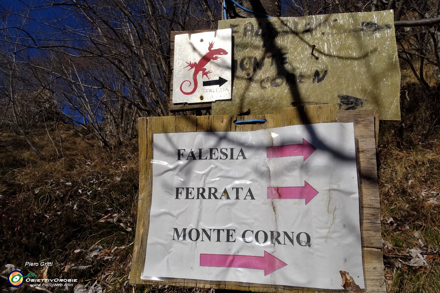 26 Il sent. 27 porta alle falesie, alla ferrata, alla Corna Camoscera.JPG